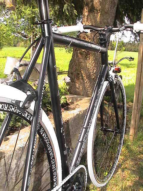 ale master bib shorts